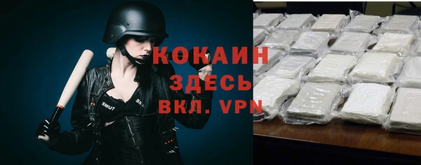mix Богородицк