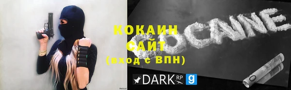 mix Богородицк