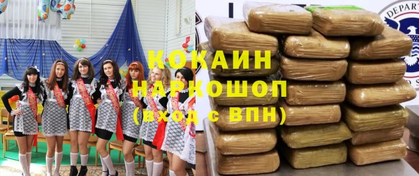 молекула духа Богородск