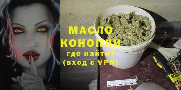 mix Богородицк