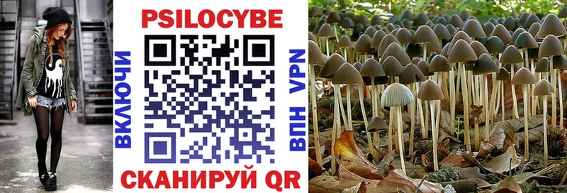 Псилоцибиновые грибы ЛСД hydra ТОР Губкинский