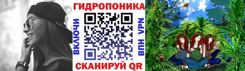 Шишки марихуана план  хочу наркоту  Губкинский 